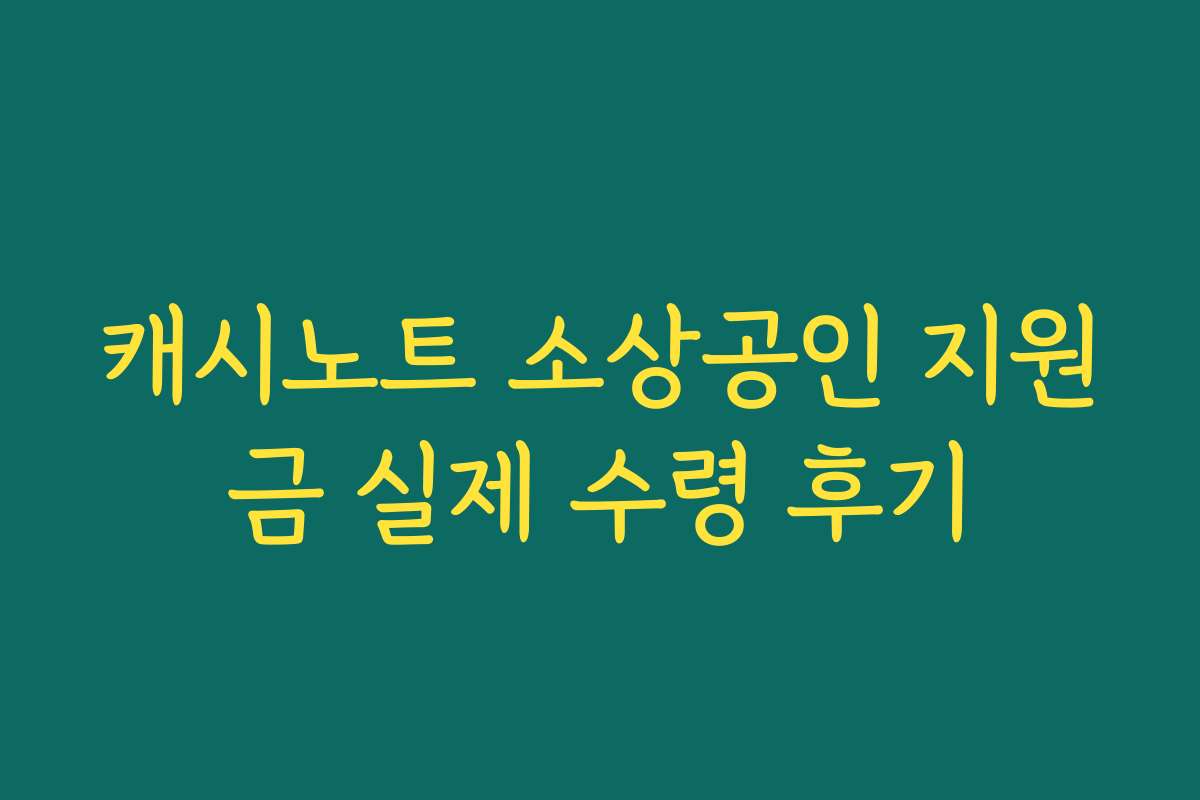 캐시노트 소상공인 지원금 실제 수령 후기