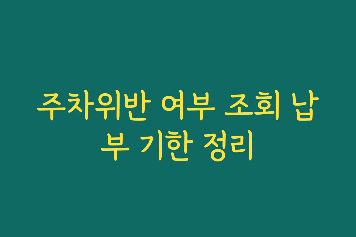 주차위반 여부 조회 납부 기한 정리