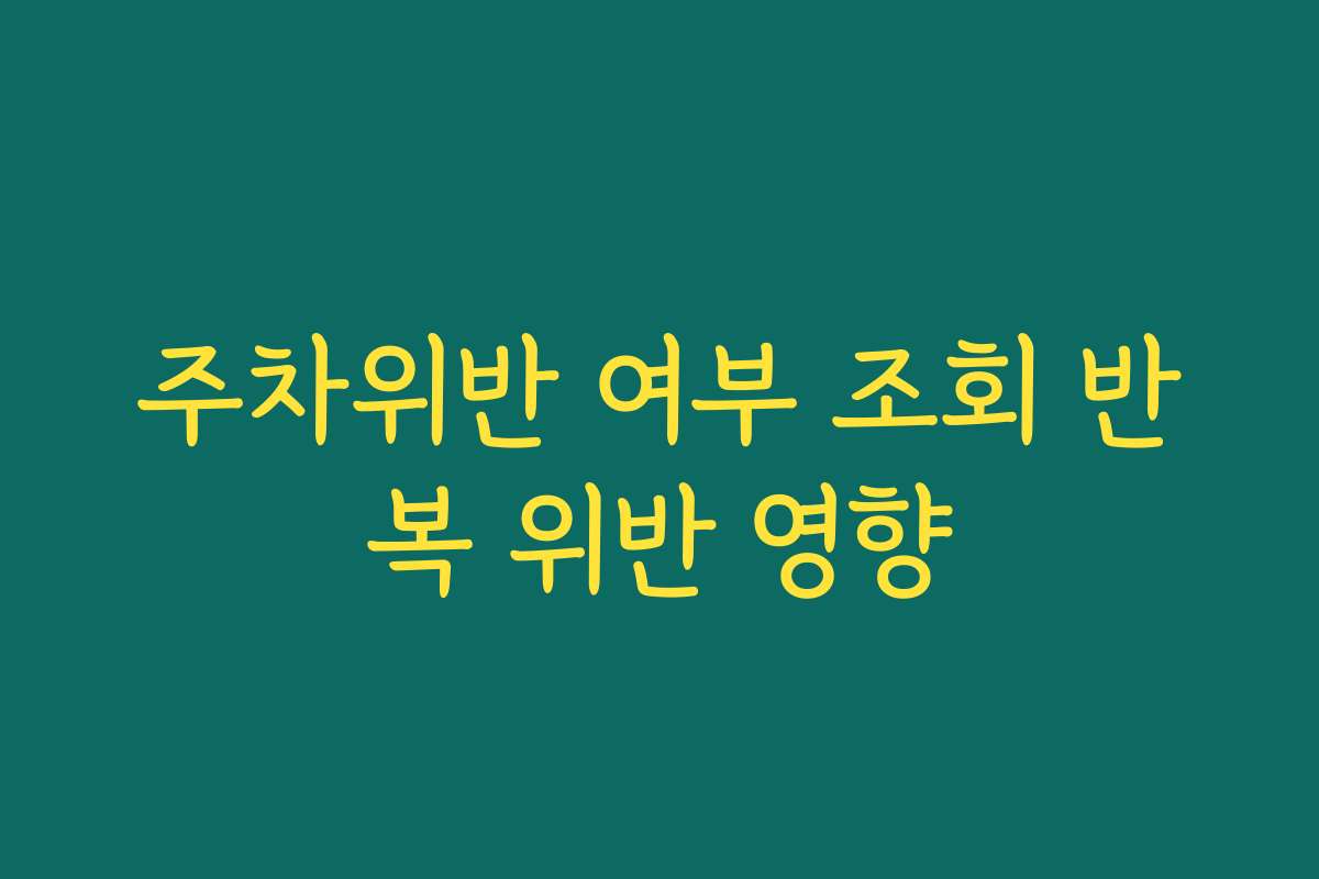 주차위반 여부 조회 반복 위반 영향