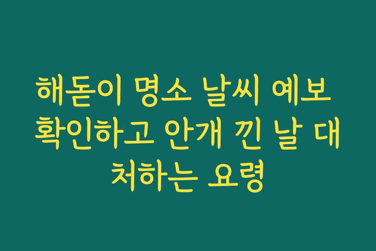 해돋이 명소 날씨 예보 확인하고 안개 낀 날 대처하는 요령