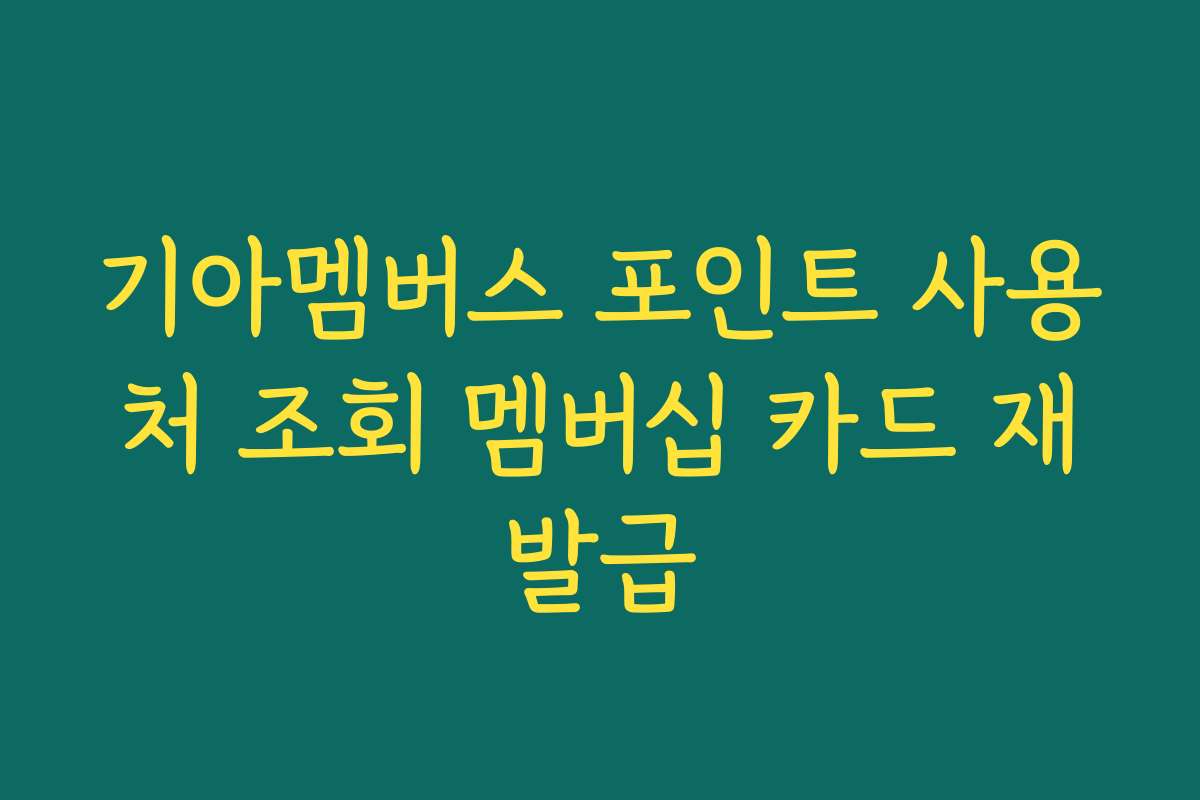 기아멤버스 포인트 사용처 조회 멤버십 카드 재발급
