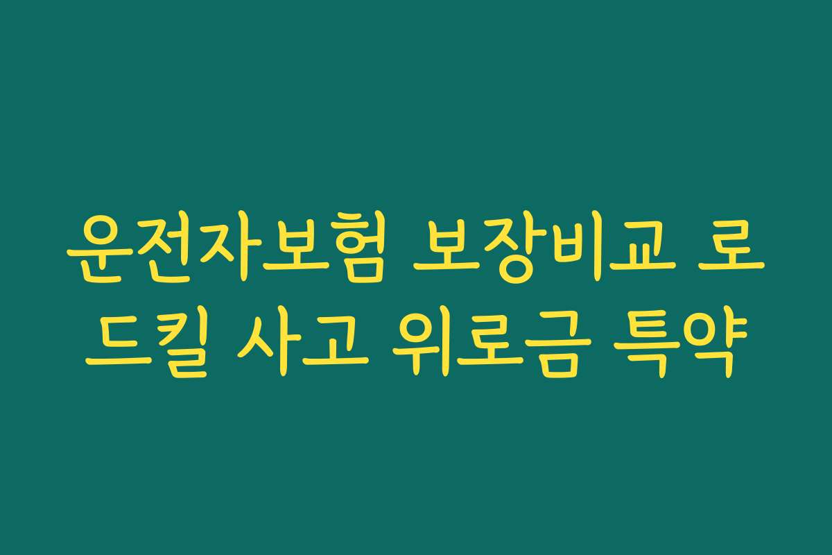 운전자보험 보장비교 로드킬 사고 위로금 특약