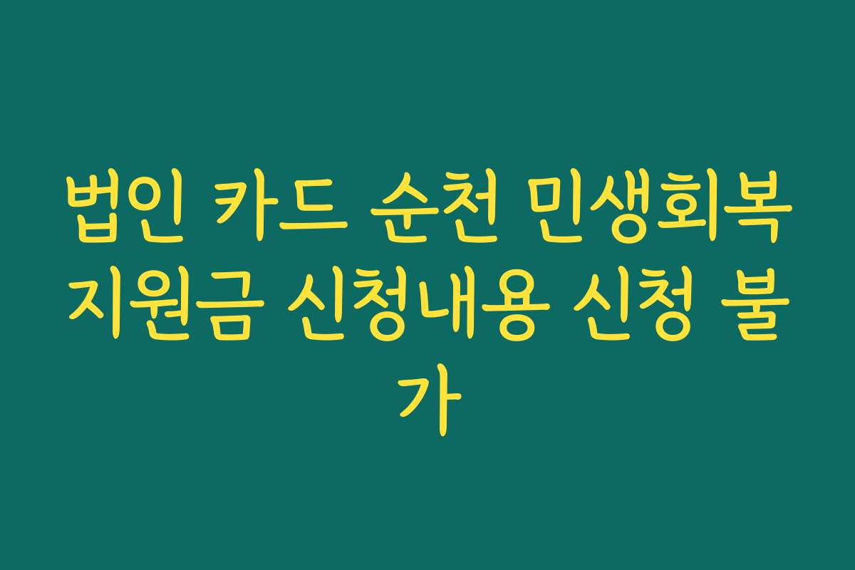 법인 카드 순천 민생회복지원금 신청내용 신청 불가