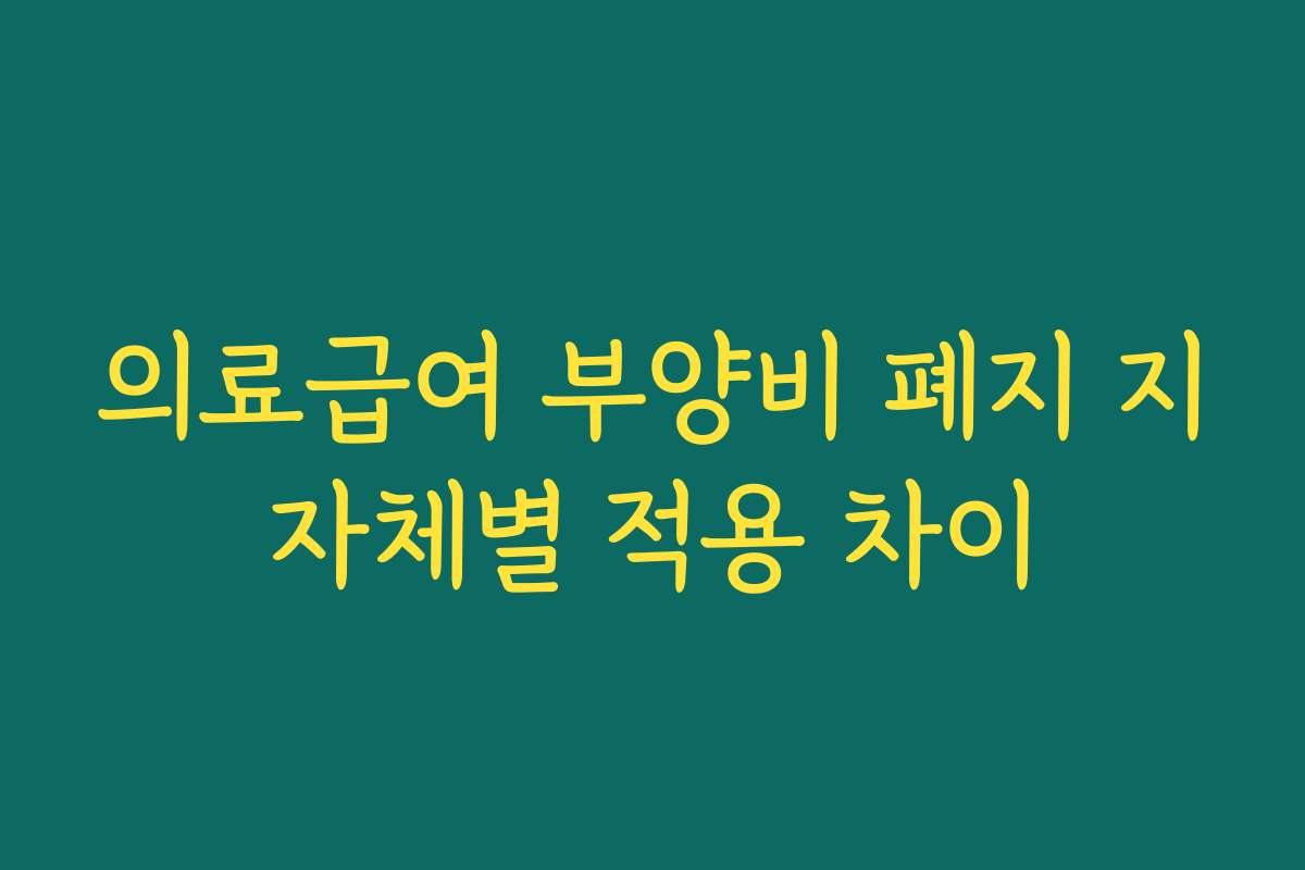 의료급여 부양비 폐지 지자체별 적용 차이