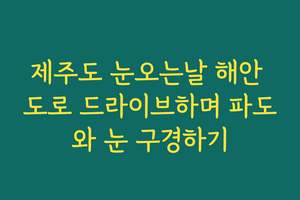제주도 눈오는날 해안 도로 드라이브하며 파도와 눈 구경하기