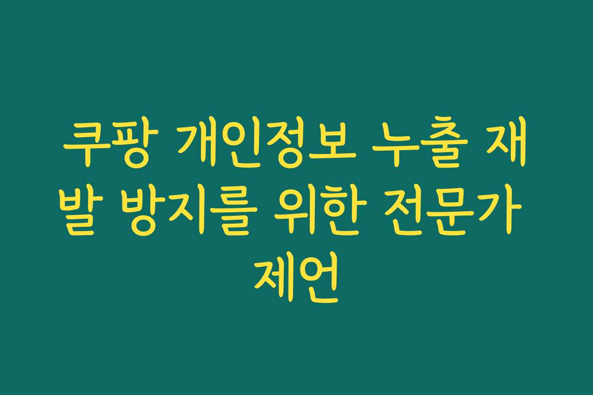 쿠팡 개인정보 누출 재발 방지를 위한 전문가 제언