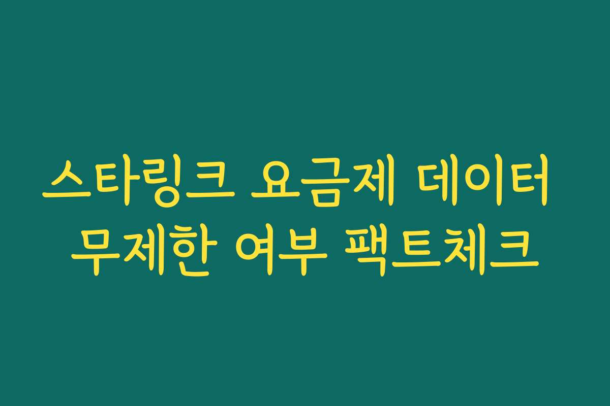 스타링크 요금제 데이터 무제한 여부 팩트체크