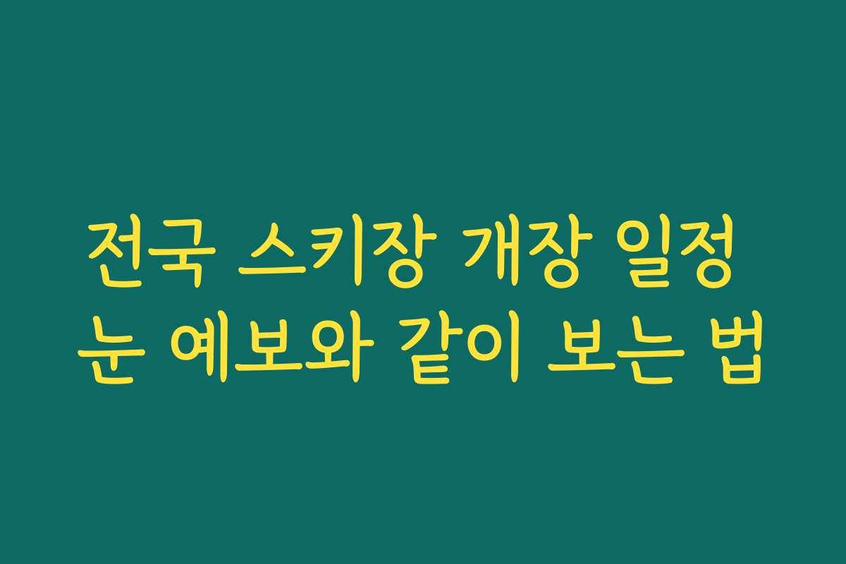 전국 스키장 개장 일정 눈 예보와 같이 보는 법