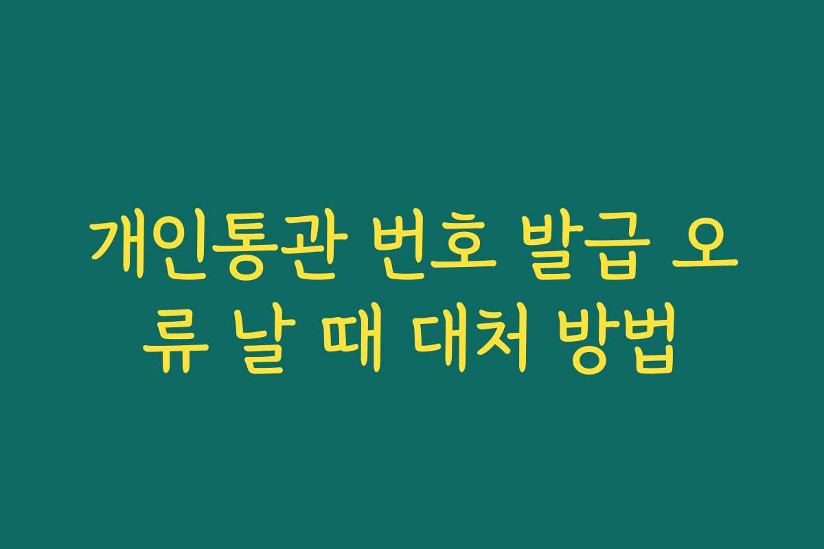 개인통관 번호 발급 오류 날 때 대처 방법