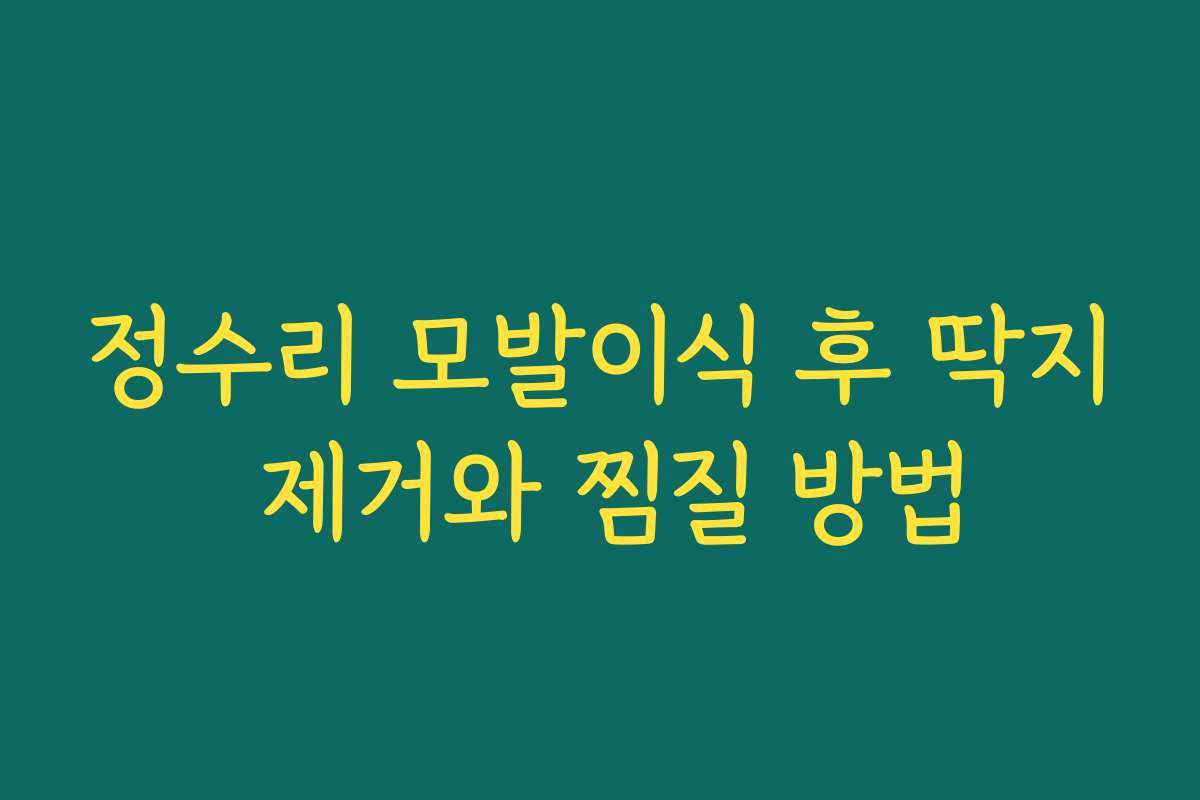 정수리 모발이식 후 딱지 제거와 찜질 방법