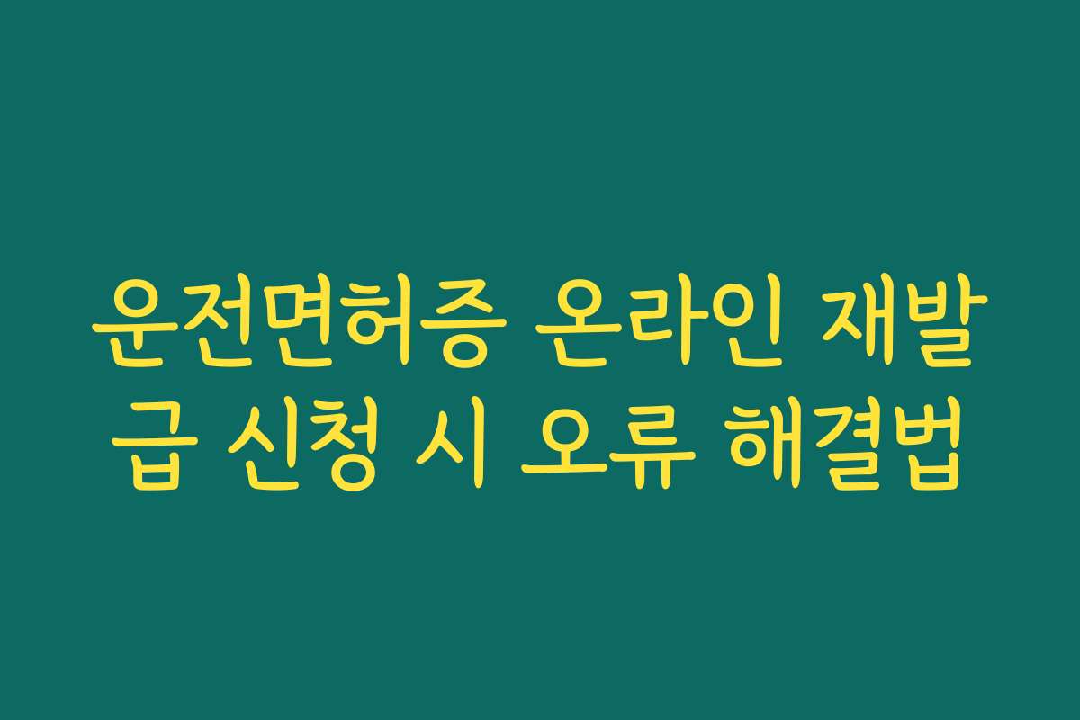 운전면허증 온라인 재발급 신청 시 오류 해결법