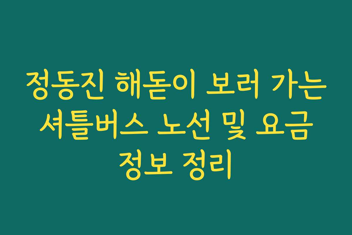 정동진 해돋이 보러 가는 셔틀버스 노선 및 요금 정보 정리