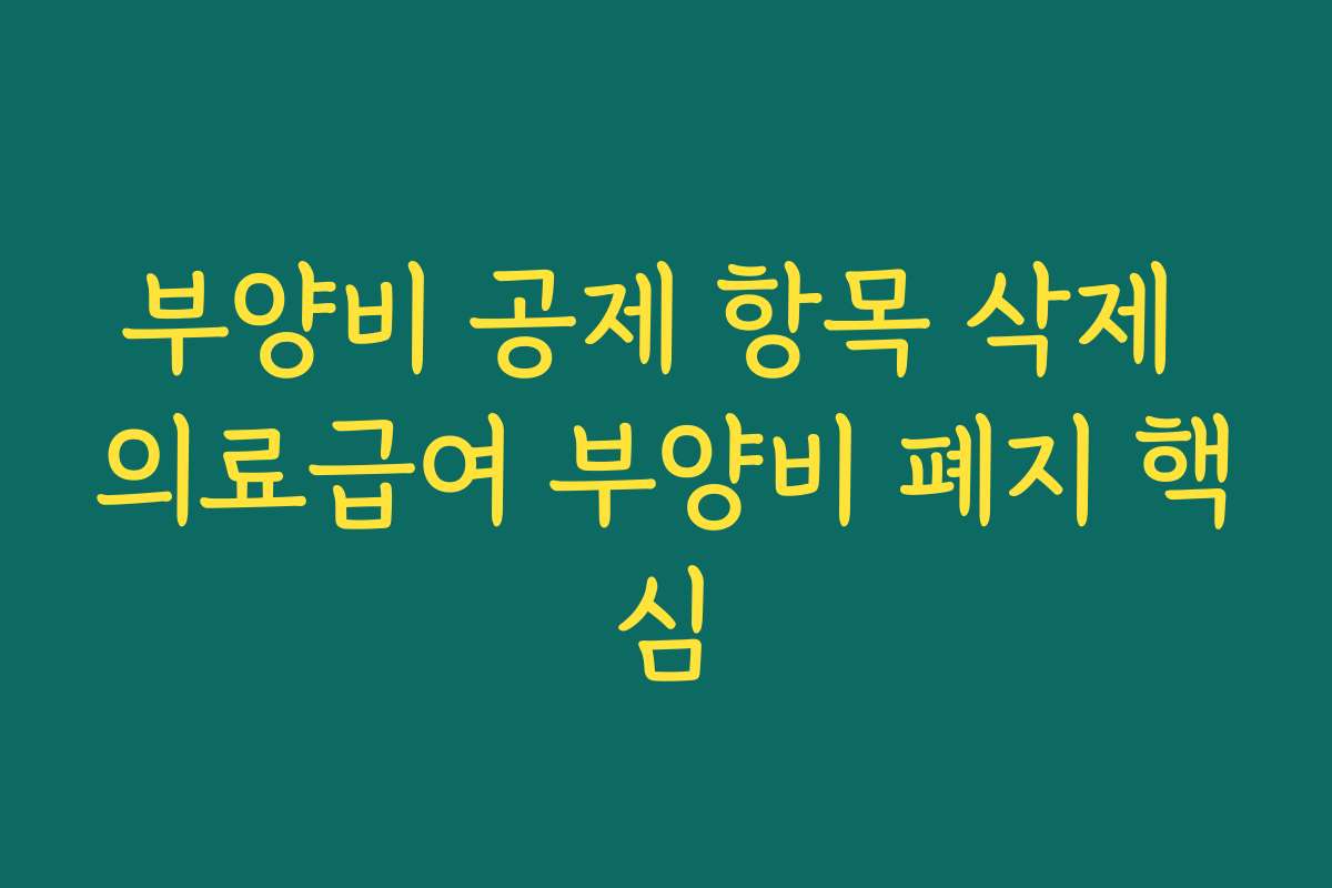 부양비 공제 항목 삭제 의료급여 부양비 폐지 핵심
