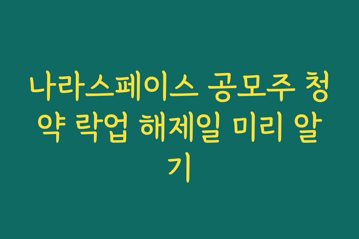 나라스페이스 공모주 청약 락업 해제일 미리 알기