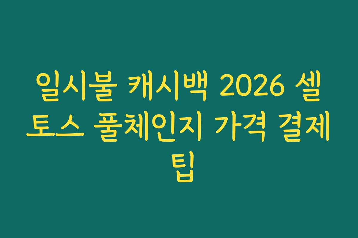 일시불 캐시백 2026 셀토스 풀체인지 가격 결제 팁