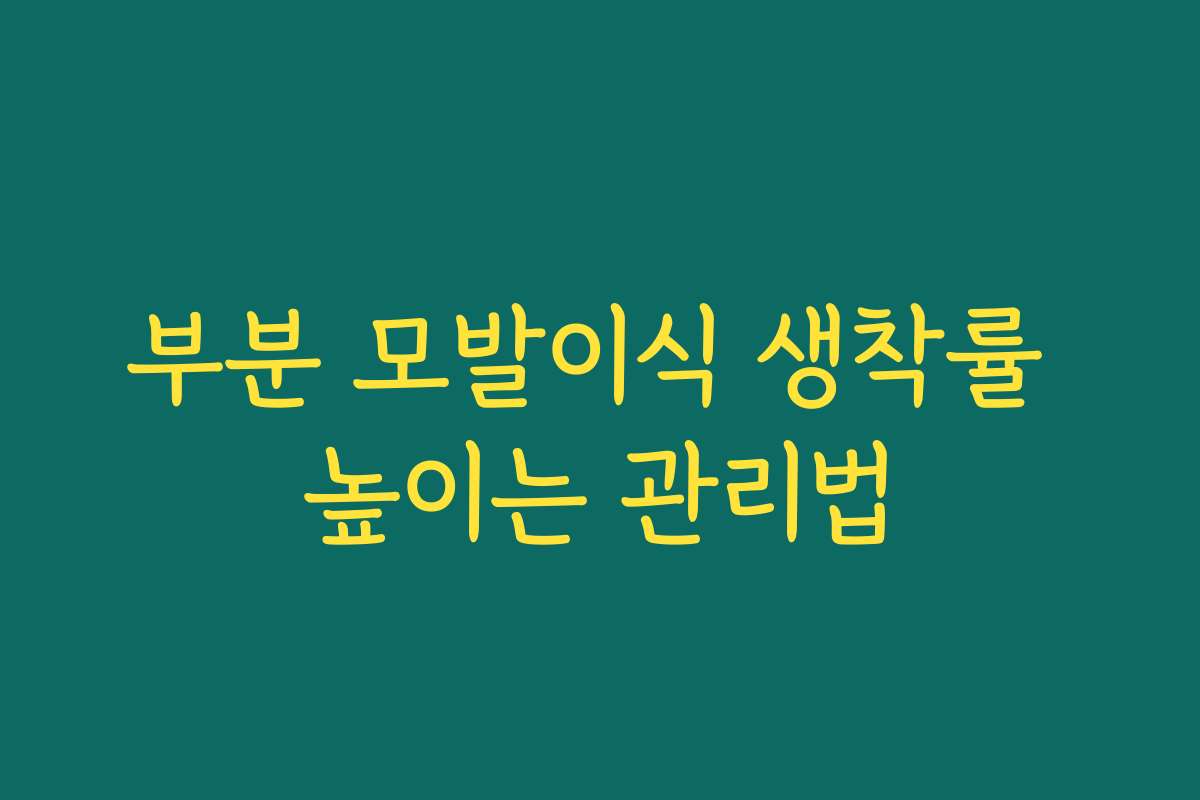 부분 모발이식 생착률 높이는 관리법
