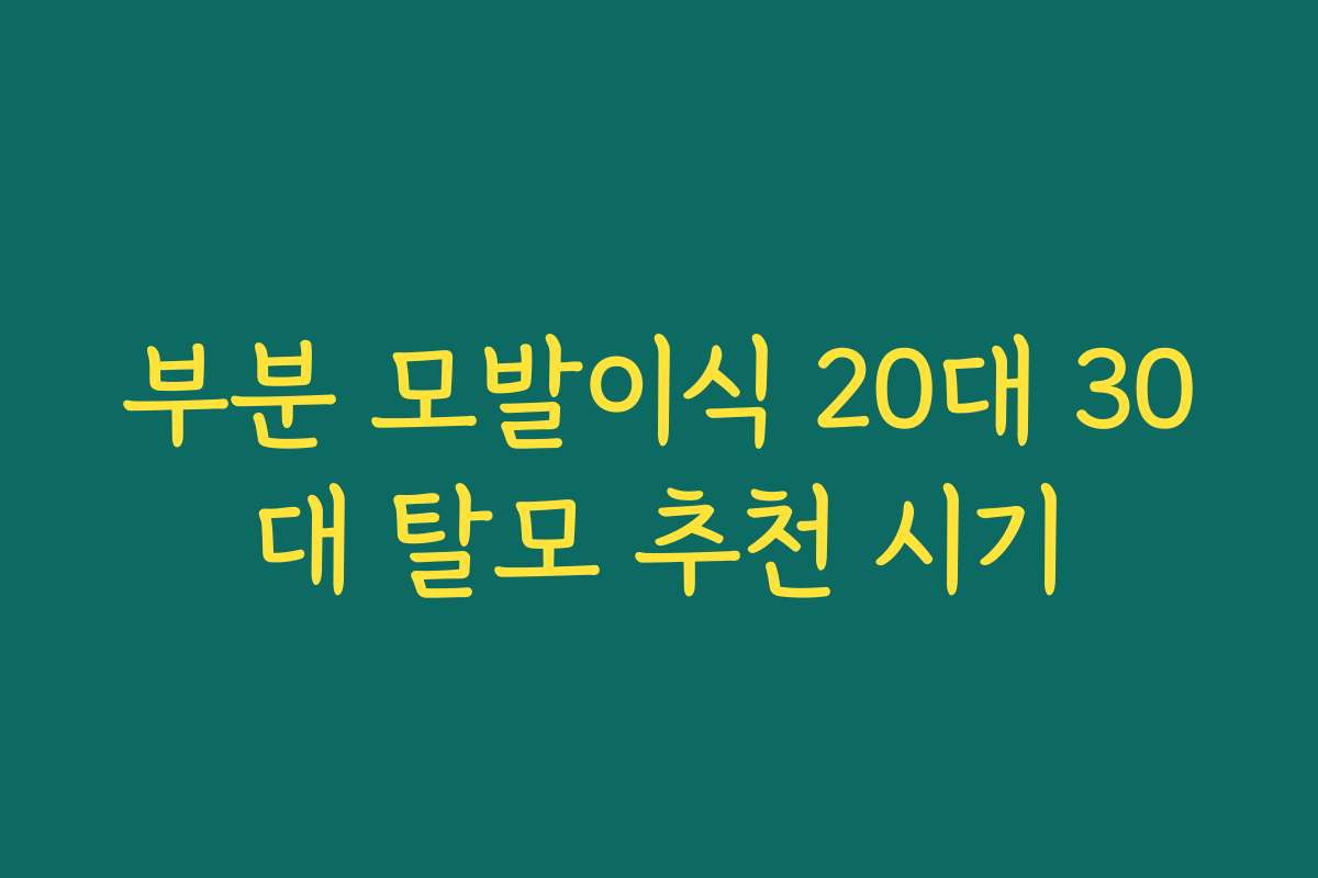 부분 모발이식 20대 30대 탈모 추천 시기