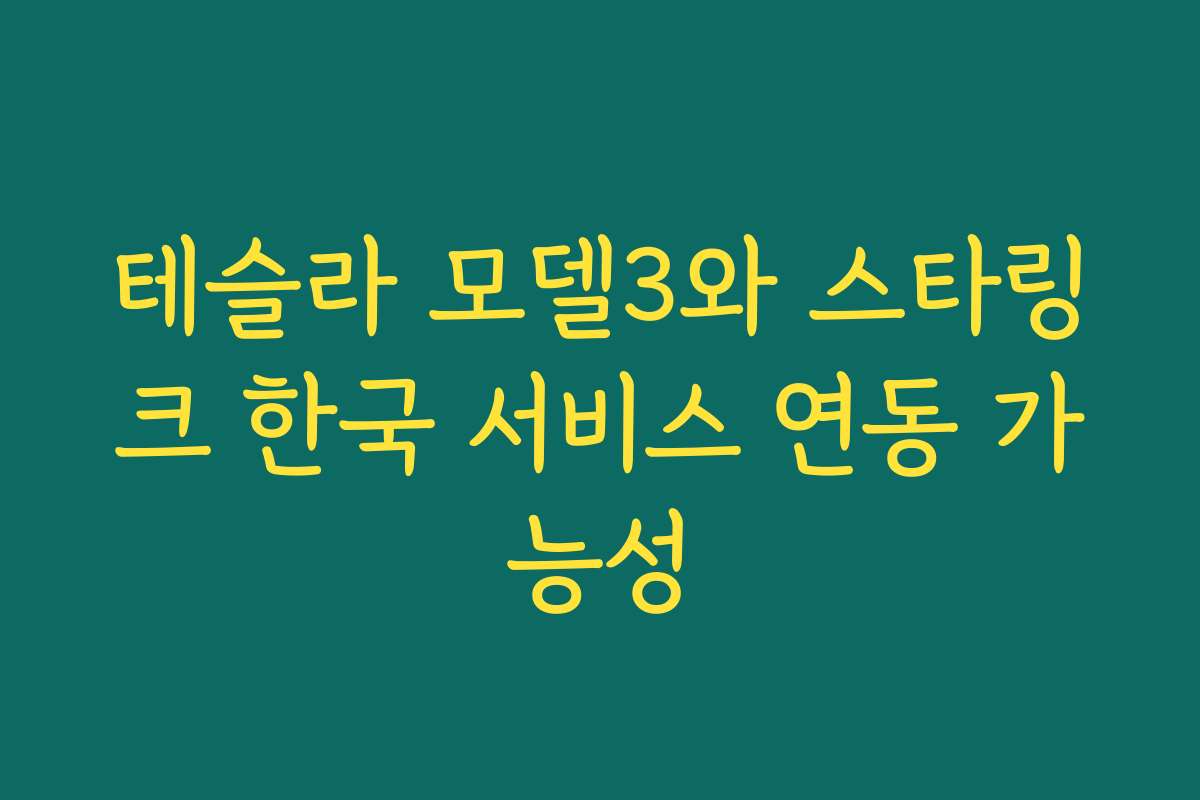 테슬라 모델3와 스타링크 한국 서비스 연동 가능성