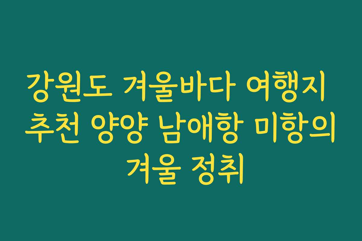 강원도 겨울바다 여행지 추천 양양 남애항 미항의 겨울 정취