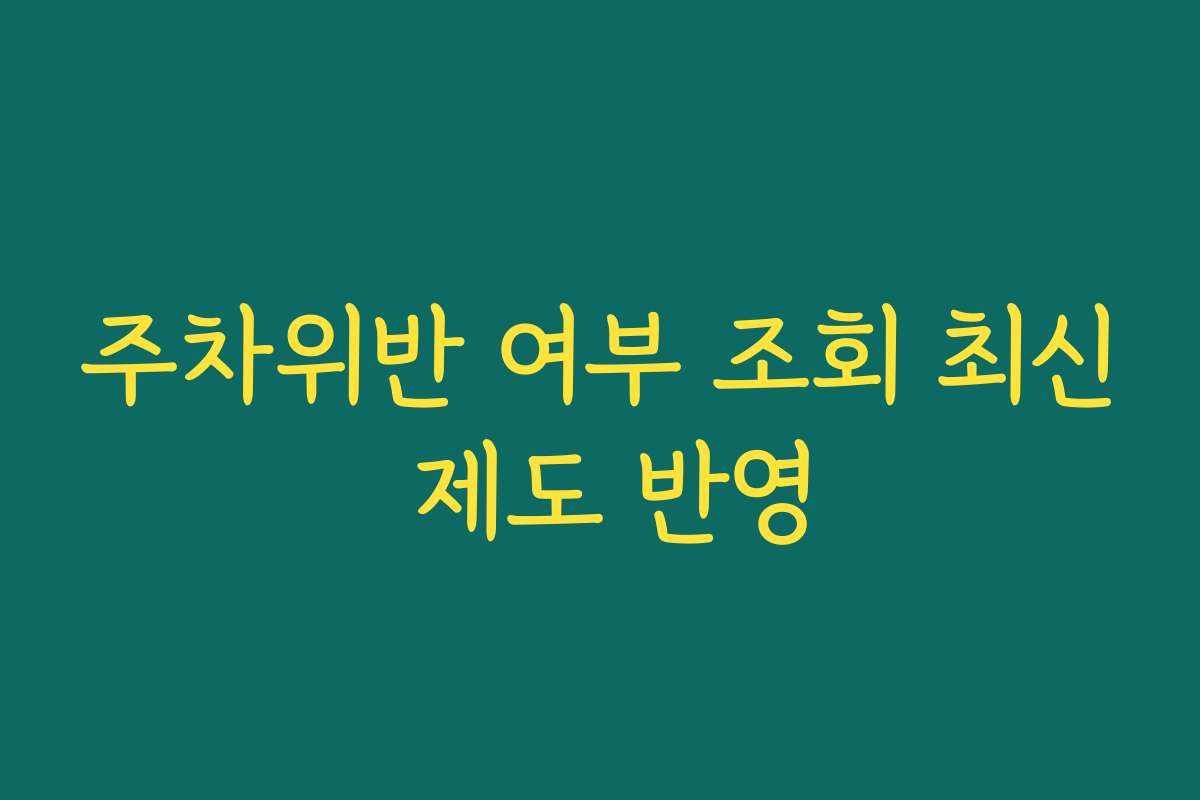 주차위반 여부 조회 최신 제도 반영