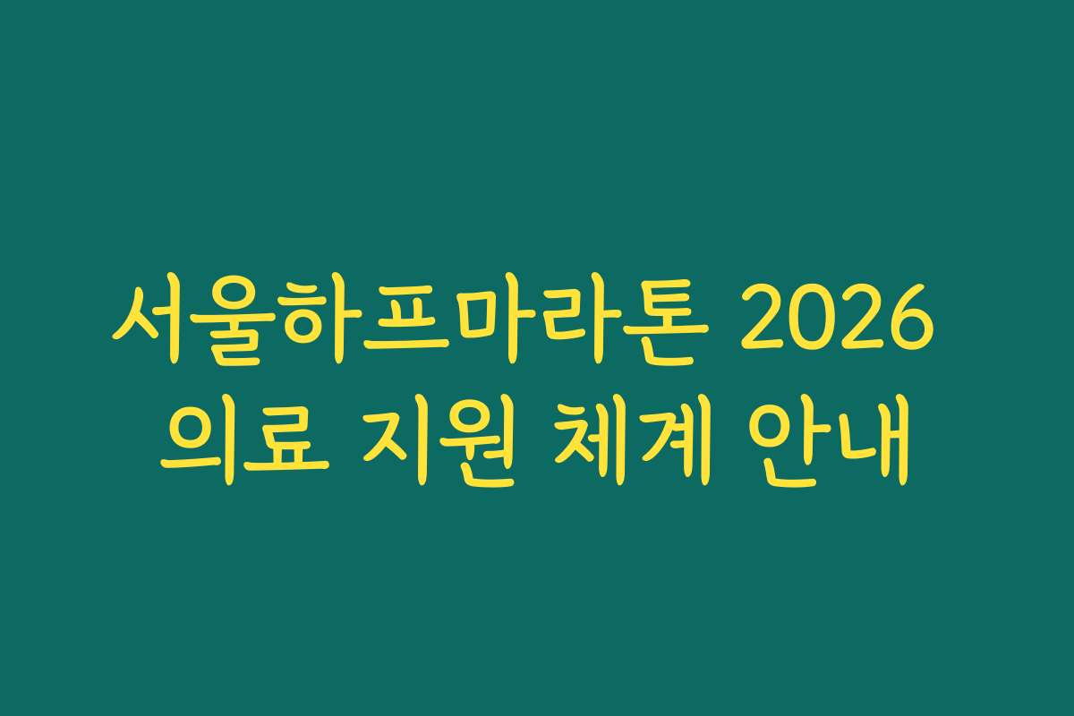 서울하프마라톤 2026 의료 지원 체계 안내