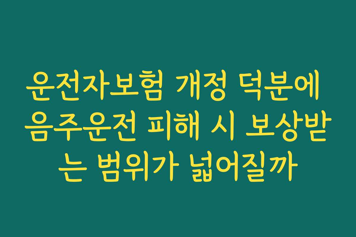 운전자보험 개정 덕분에 음주운전 피해 시 보상받는 범위가 넓어질까