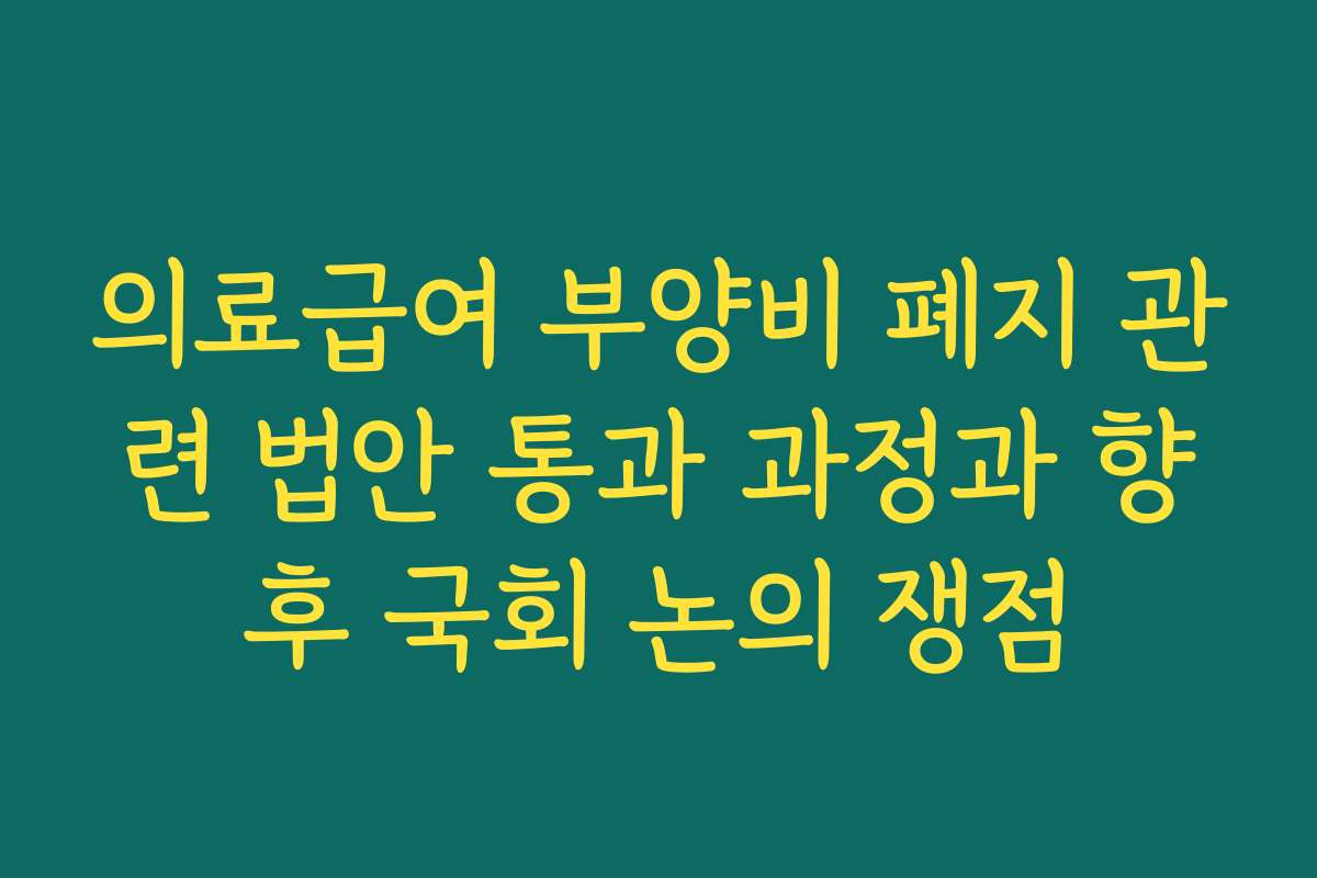 의료급여 부양비 폐지 관련 법안 통과 과정과 향후 국회 논의 쟁점