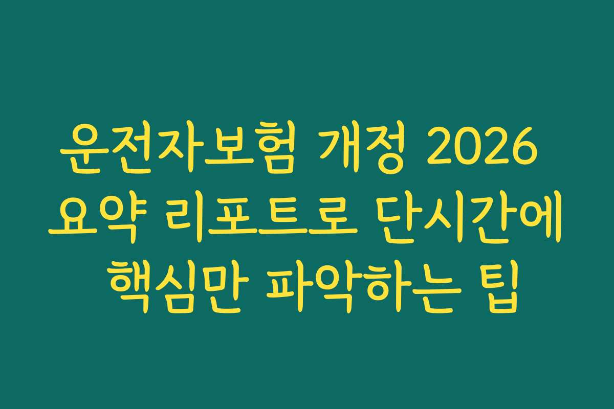 운전자보험 개정 2026 요약 리포트로 단시간에 핵심만 파악하는 팁