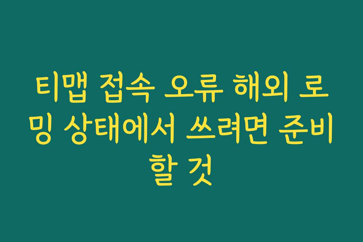 티맵 접속 오류 해외 로밍 상태에서 쓰려면 준비할 것