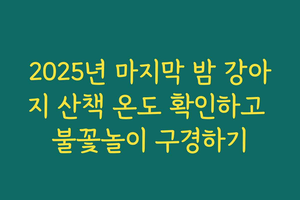 2025년 마지막 밤 강아지 산책 온도 확인하고 불꽃놀이 구경하기