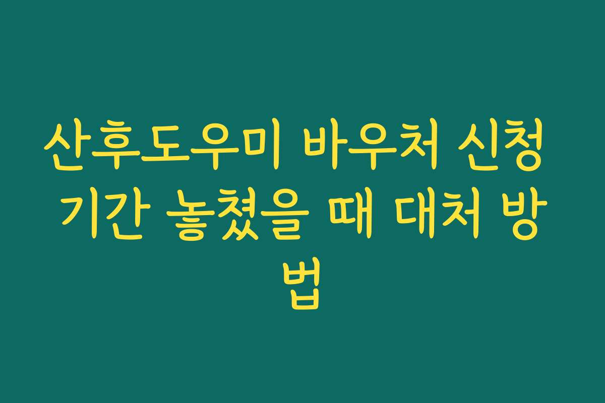 산후도우미 바우처 신청 기간 놓쳤을 때 대처 방법