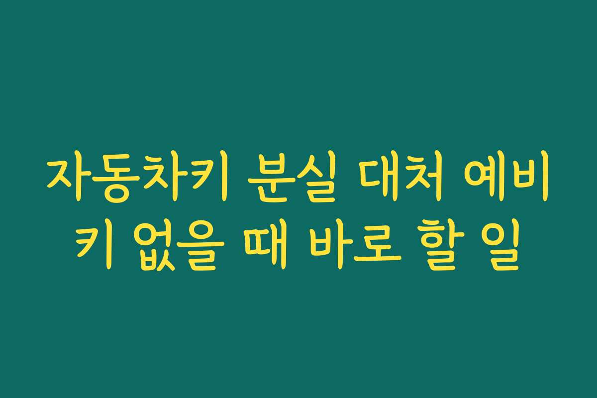 자동차키 분실 대처 예비키 없을 때 바로 할 일