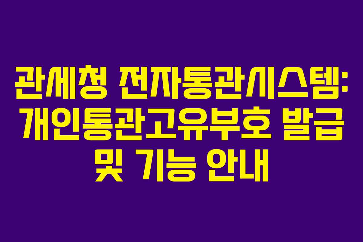 관세청 전자통관시스템: 개인통관고유부호 발급 및 기능 안내