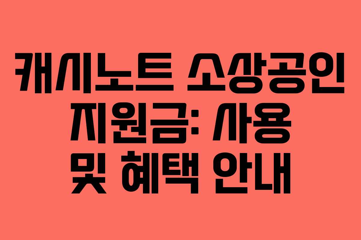 캐시노트 소상공인 지원금: 사용 및 혜택 안내