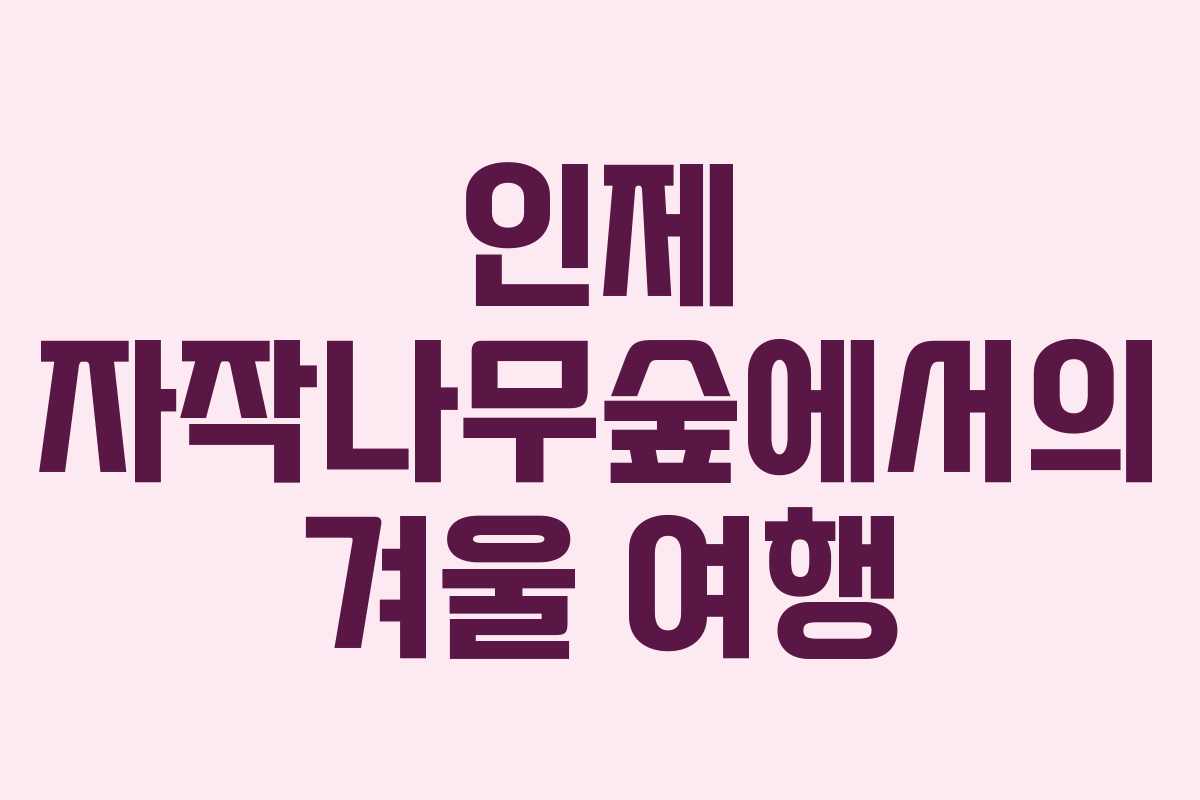 인제 자작나무숲에서의 겨울 여행