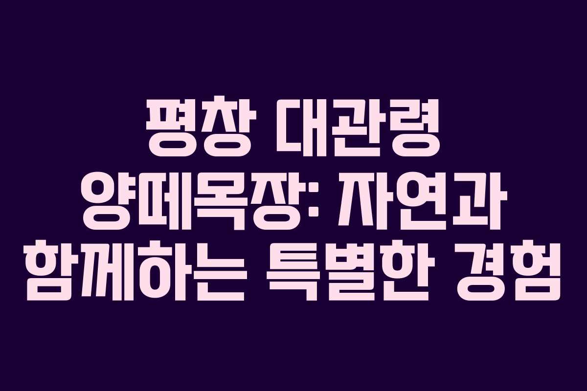평창 대관령 양떼목장: 자연과 함께하는 특별한 경험