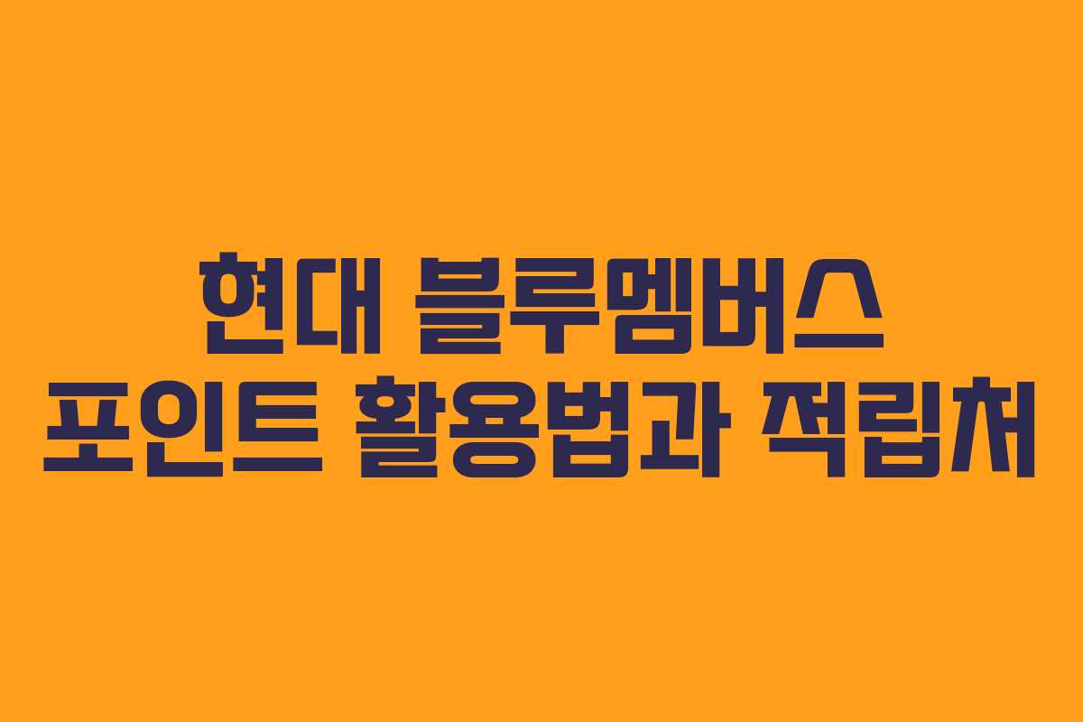 현대 블루멤버스 포인트 활용법과 적립처
