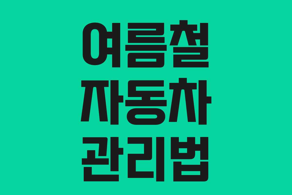 여름철 자동차 관리법