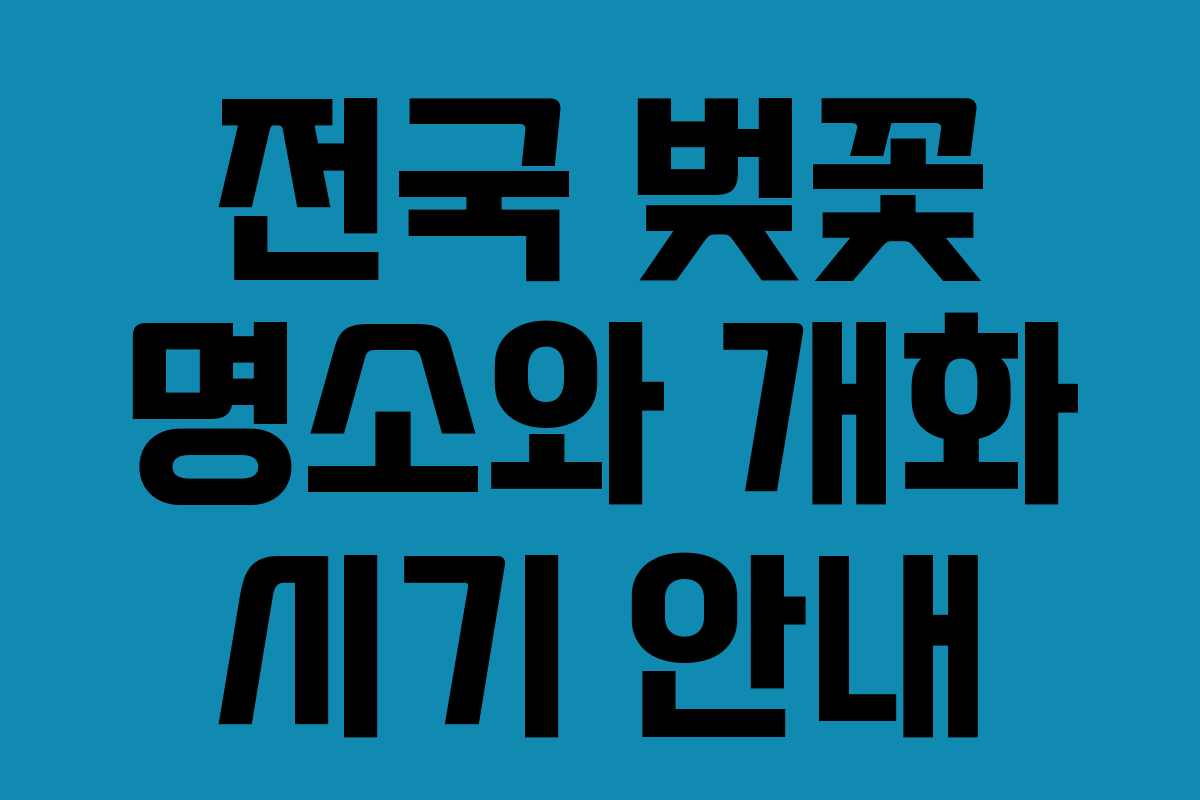 전국 벚꽃 명소와 개화 시기 안내