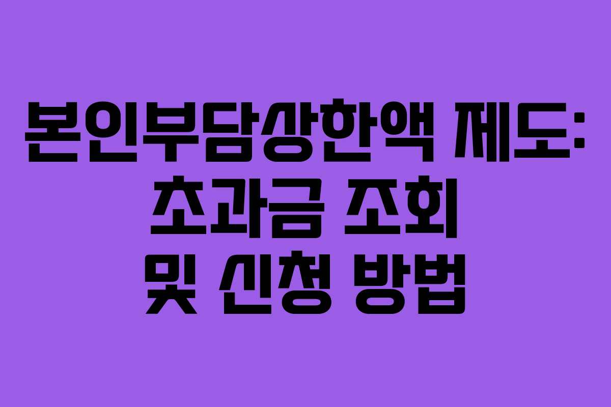 본인부담상한액 제도: 초과금 조회 및 신청 방법
