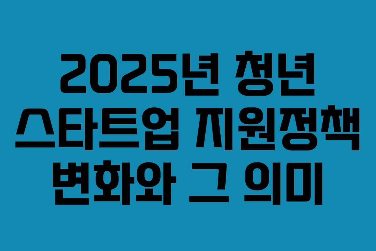2025년 청년 스타트업 지원정책 변화와 그 의미