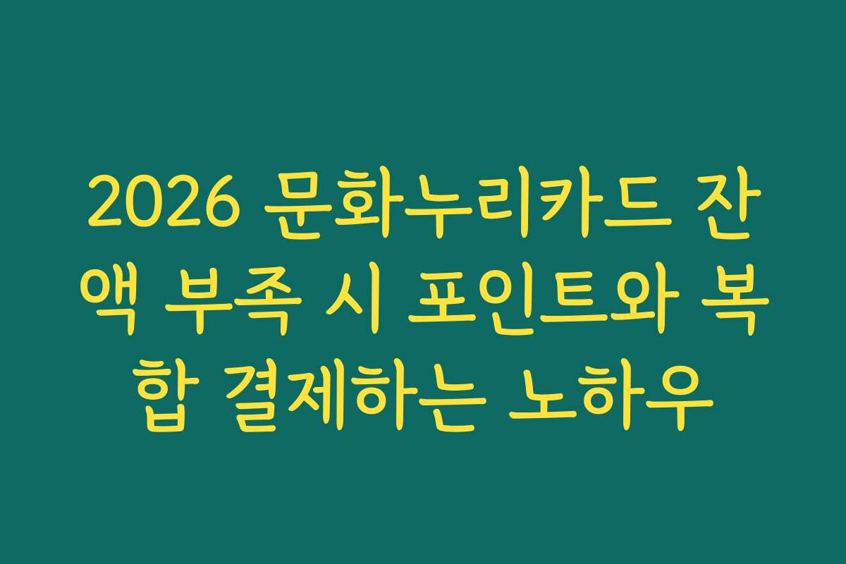 2026 문화누리카드 잔액 부족 시 포인트와 복합 결제하는 노하우