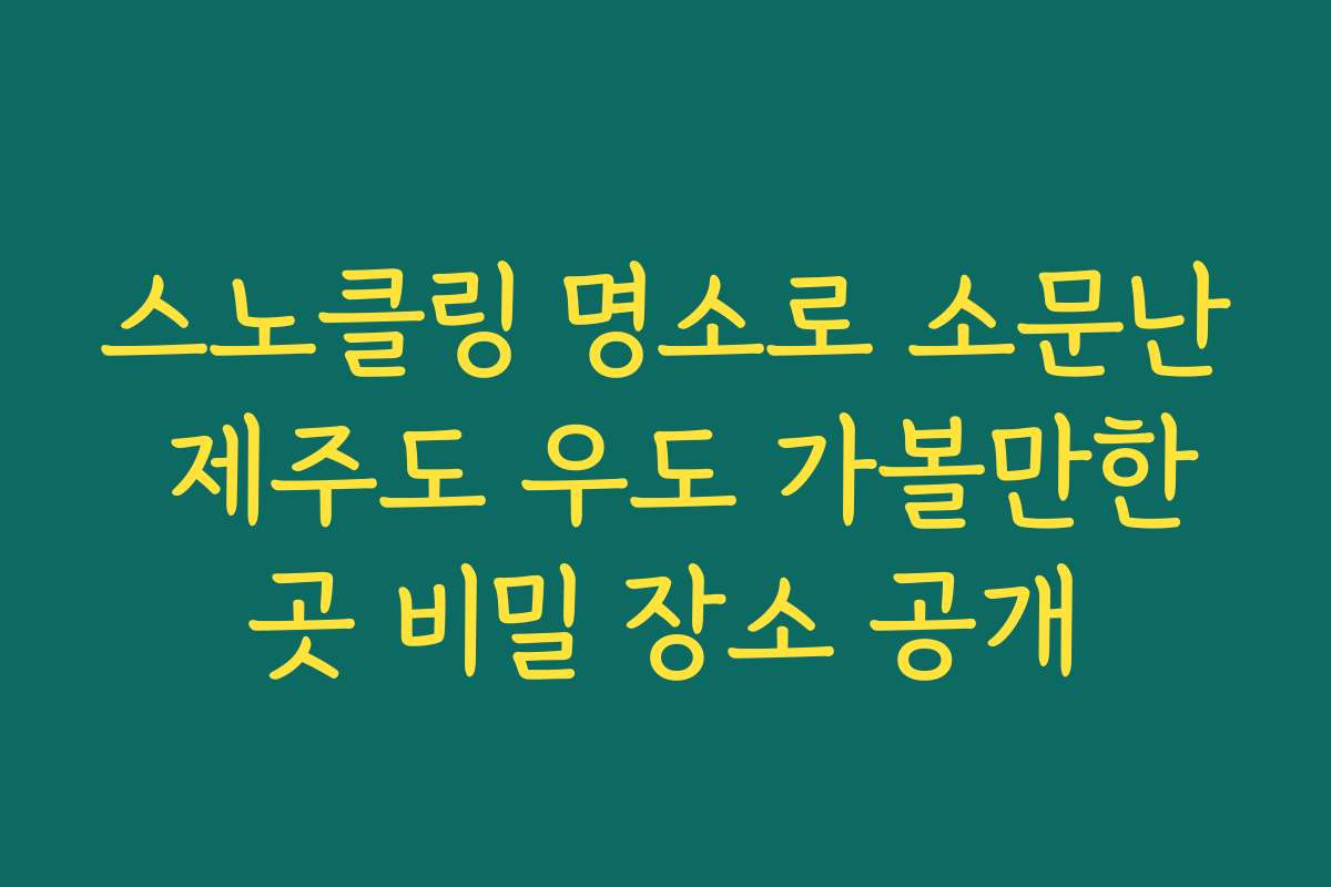 스노클링 명소로 소문난 제주도 우도 가볼만한곳 비밀 장소 공개