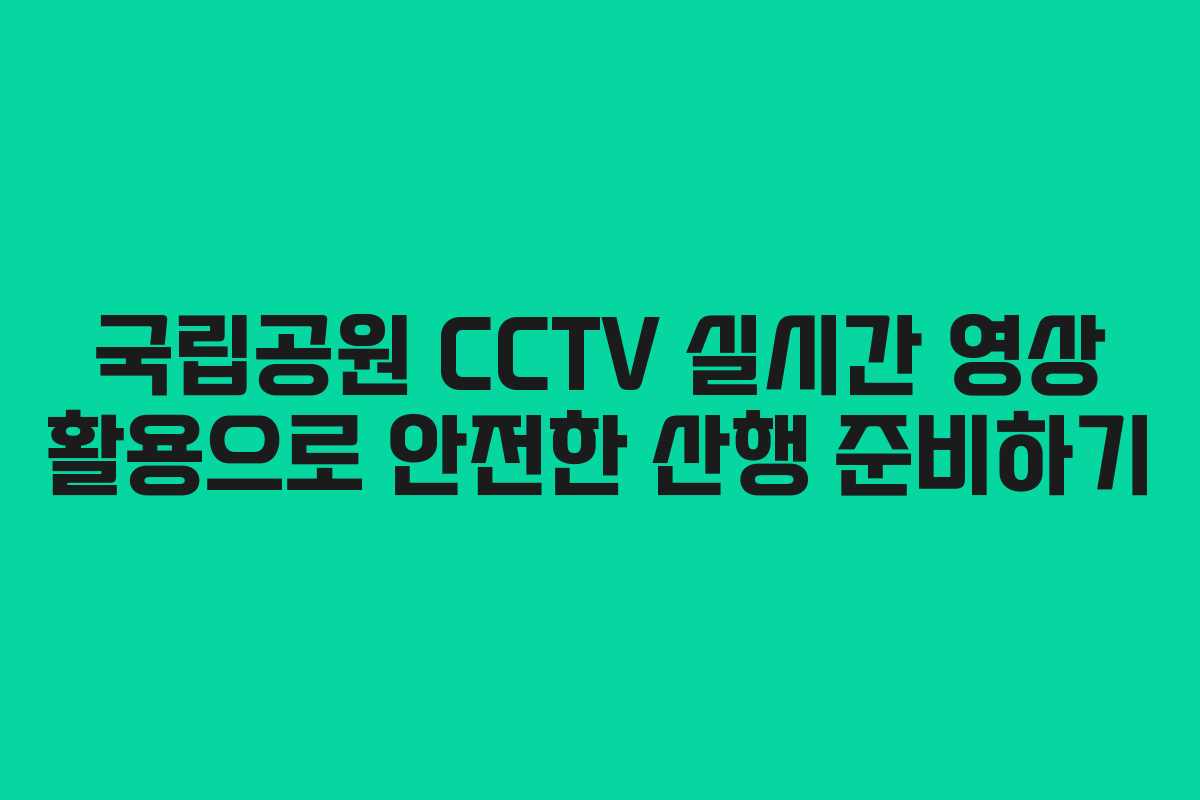 국립공원 CCTV 실시간 영상 활용으로 안전한 산행 준비하기