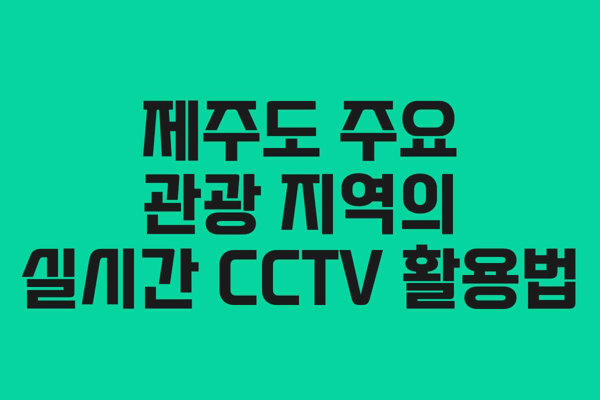 제주도 주요 관광 지역의 실시간 CCTV 활용법