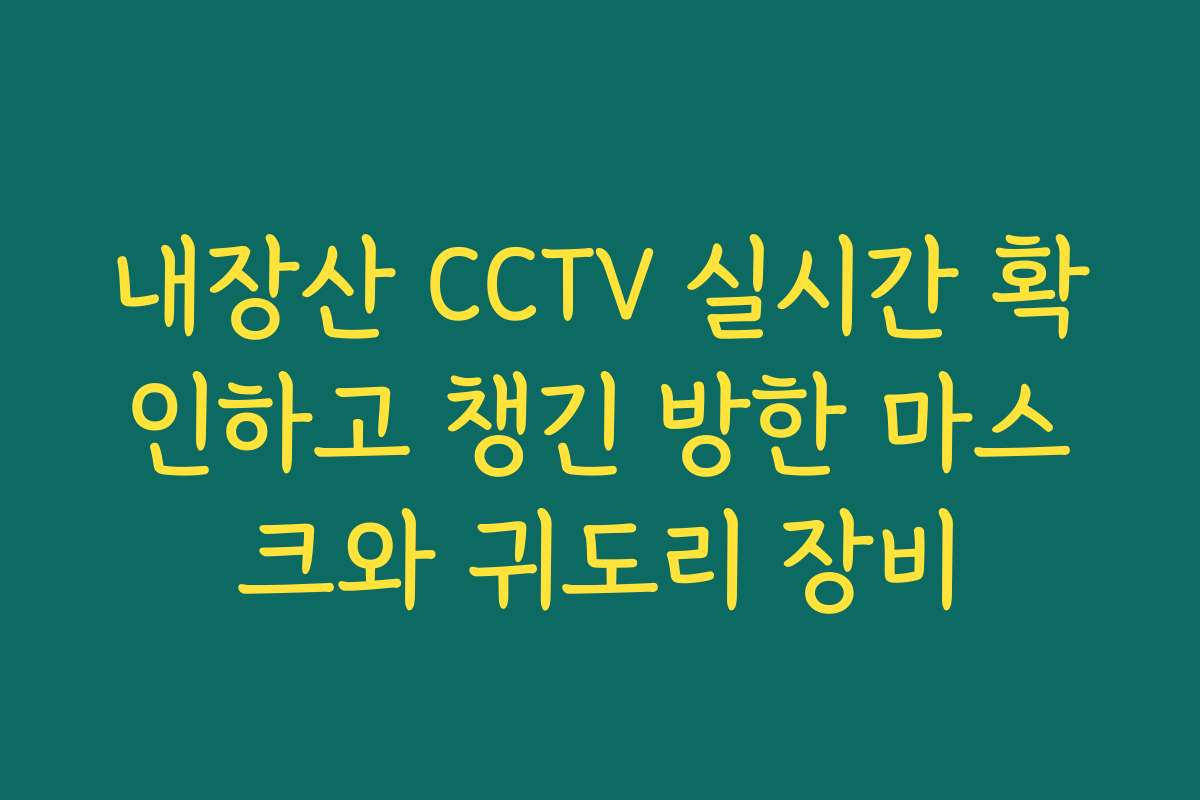 내장산 CCTV 실시간 확인하고 챙긴 방한 마스크와 귀도리 장비
