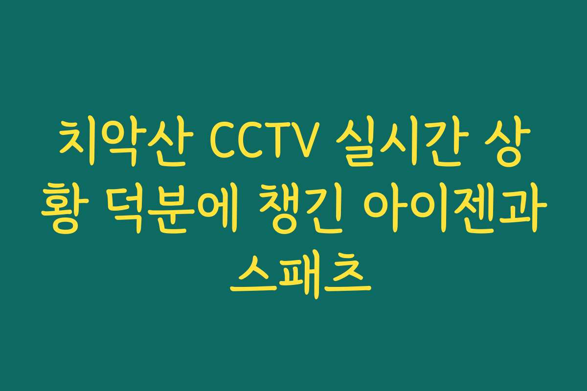 치악산 CCTV 실시간 상황 덕분에 챙긴 아이젠과 스패츠
