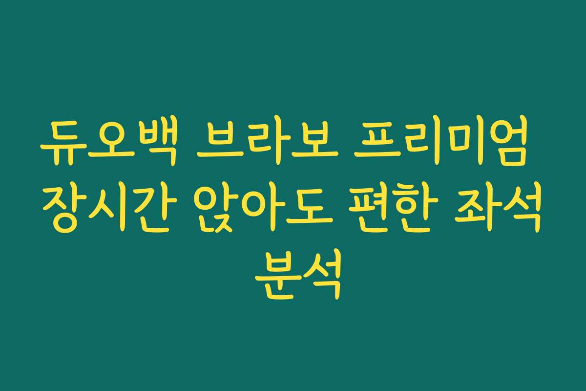 듀오백 브라보 프리미엄 장시간 앉아도 편한 좌석 분석