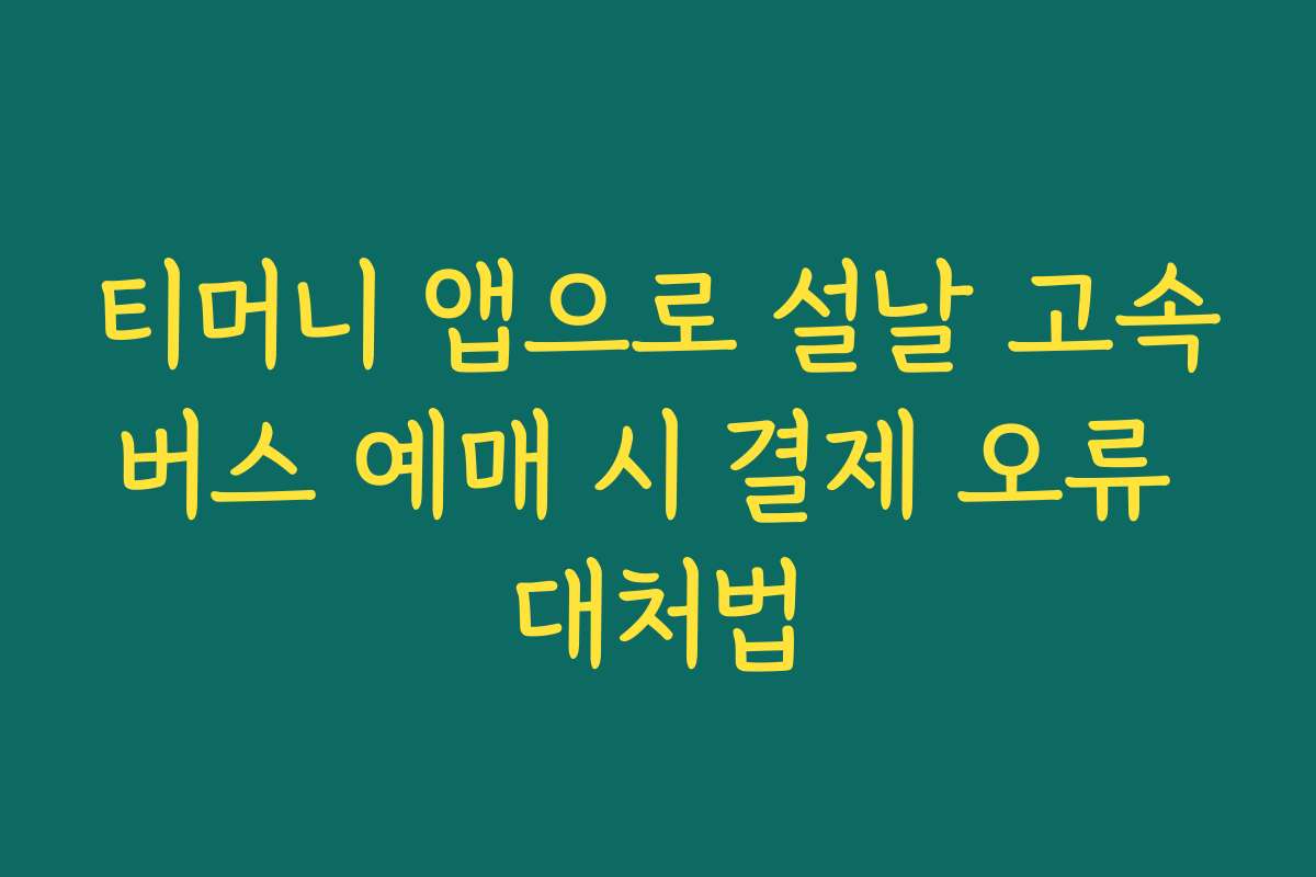 티머니 앱으로 설날 고속버스 예매 시 결제 오류 대처법