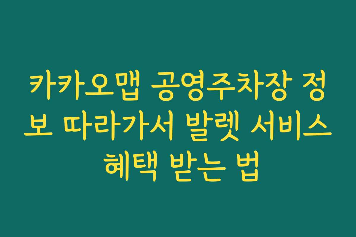 카카오맵 공영주차장 정보 따라가서 발렛 서비스 혜택 받는 법